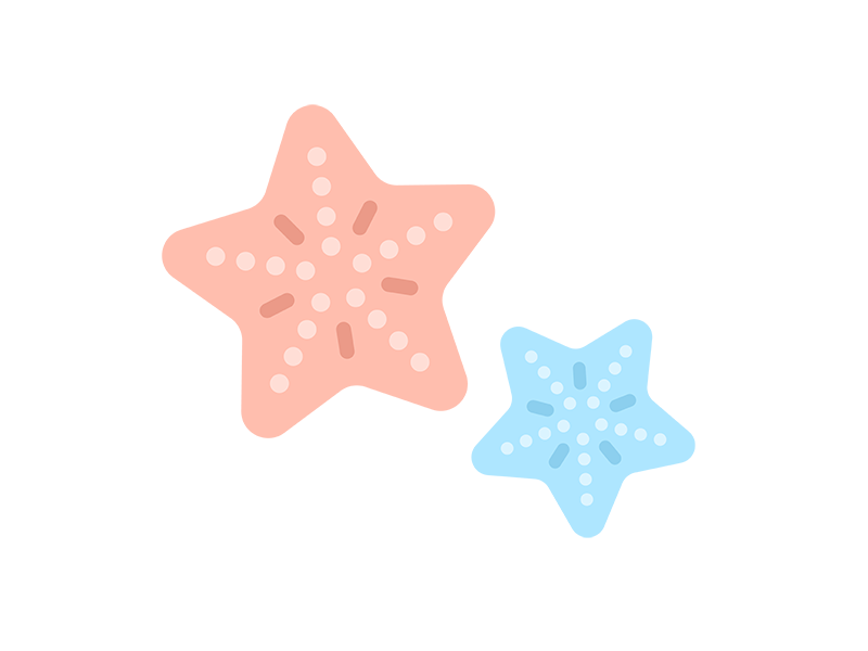 ヒトデ